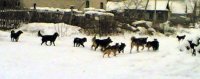 28122006(007_3).jpg