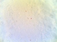 28122006(010).jpg