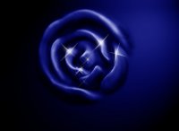 made_rose2 копия.jpg