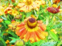 IMG_3191cop22.jpg