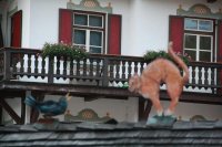 IMG_2005.JPG
