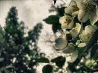 IMG_3952_shop.jpg