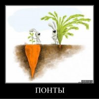 s3img_146634562_4898_1.jpg
