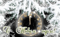 05170563.gif