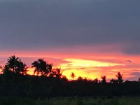 IMG_5135.JPG